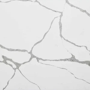 Calacatta Sponda Polished