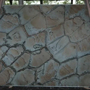 Fossil Blue 3cm Polished