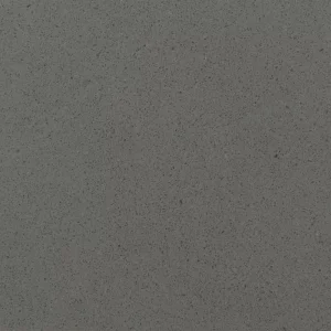 Fossil Grey Polished